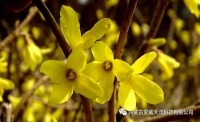 一起讀報(bào)-7月14日