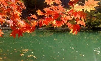 一起讀報-10月14日