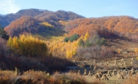 一起讀報-10月26日