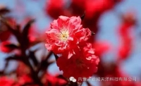 一起讀報-12月13日