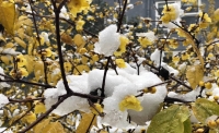 一起讀報(bào)-1月7日
