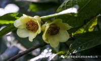 一起讀報(bào)-1月26日